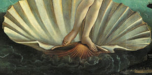 La nascita di Venere Botticelli Firenze, Galleria degli Uffizi.